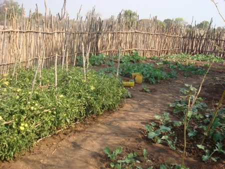A reliable water source gives communities the ability to irrigate crops, grow vegetable gardens and raise healthier livestock, which leads to improved nutrition. It also allows for increased income through the sale of excess produce and livestock.