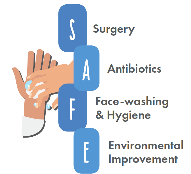 SAFE strategy is eliminating painful blinding disease trachoma in Kenya