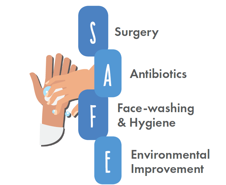 SAFE strategy is eliminating painful blinding disease trachoma in Kenya