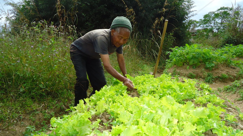 Indian grandpa receives sight-restoring cataract surgery through Operation eyesight community eye health program