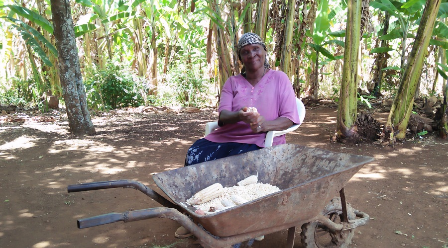 Woman sitting next to a wheel barrel of corn in a forrest in Kenya.