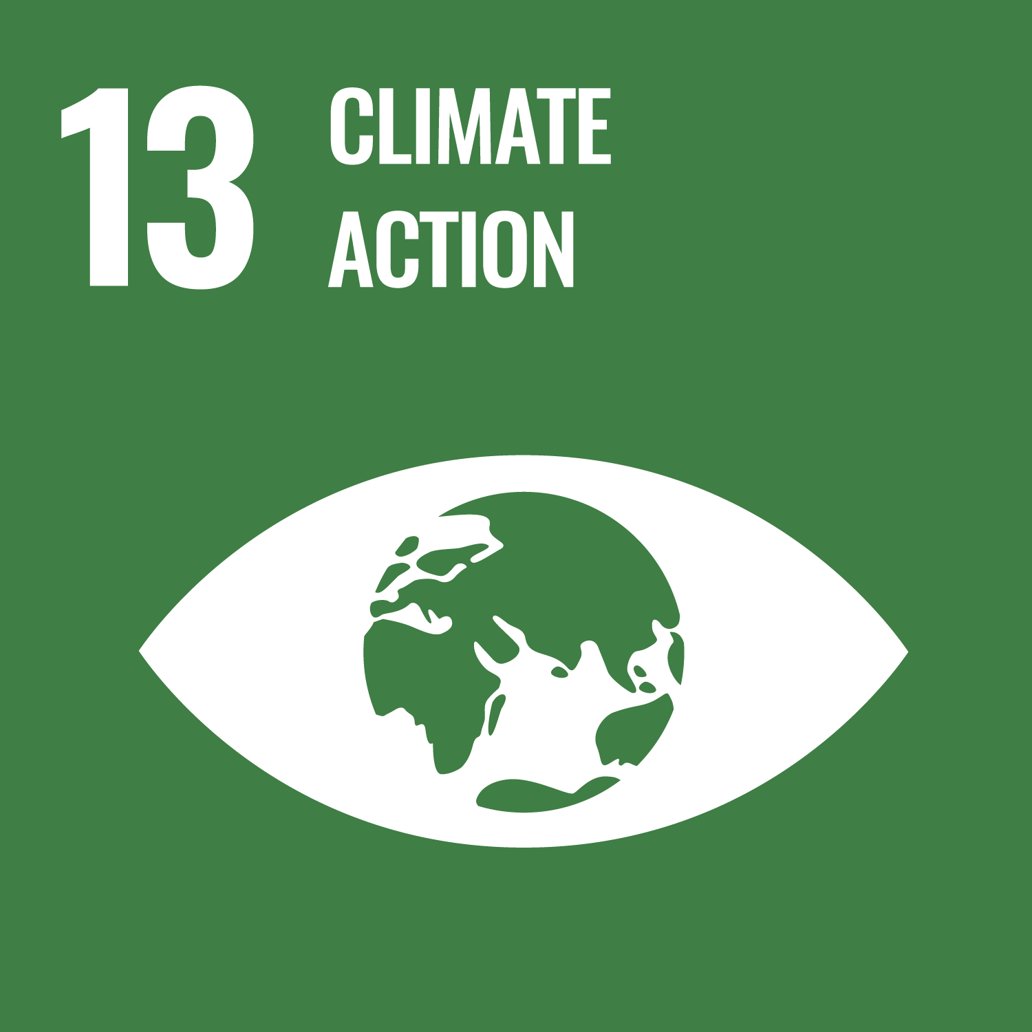 SDG 13 block