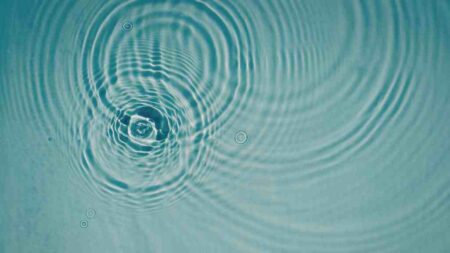 2025 Highlights: The Ripple Effect 